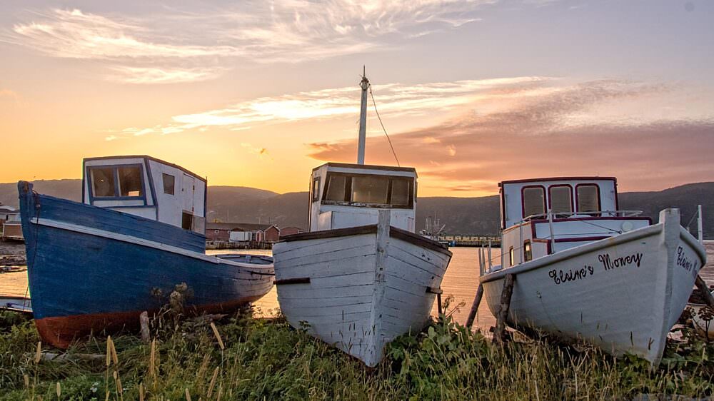 The Best Time of Year to Travel to Newfoundland Adventure Canada
