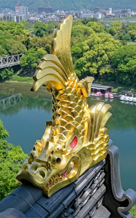 Shachihoko
