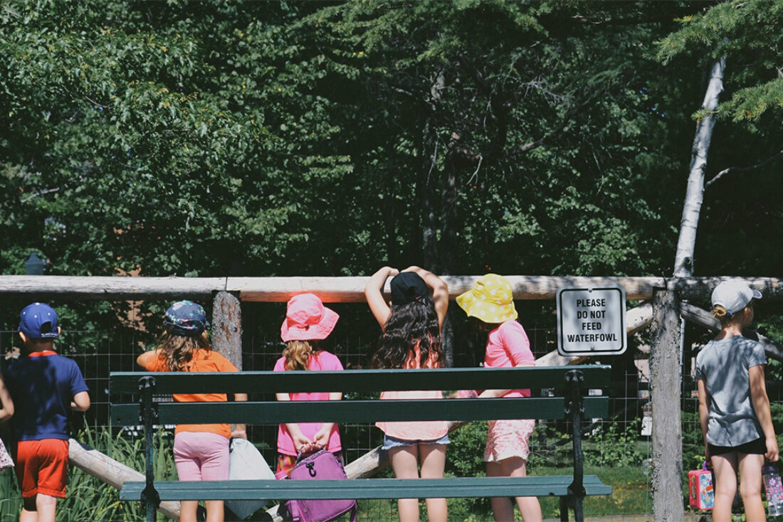 Camp industry registration software 1000px