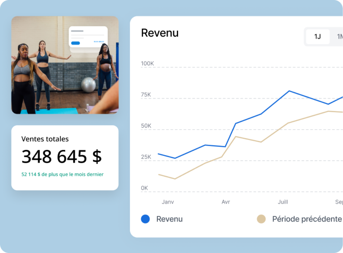 Revenue analytics large FR