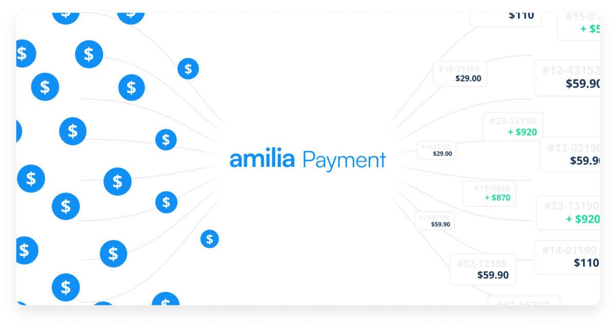 Reconciliations Amilia Payment flow twist 3 2x