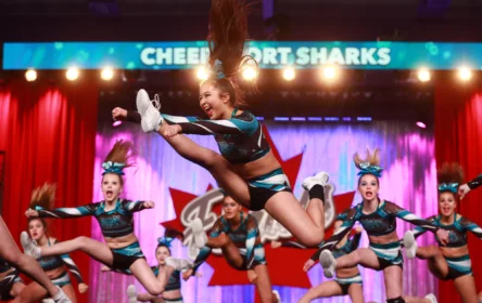 Cheer sport sharks hero