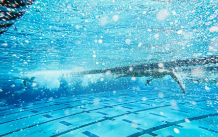 Pexels kindel media 9030295