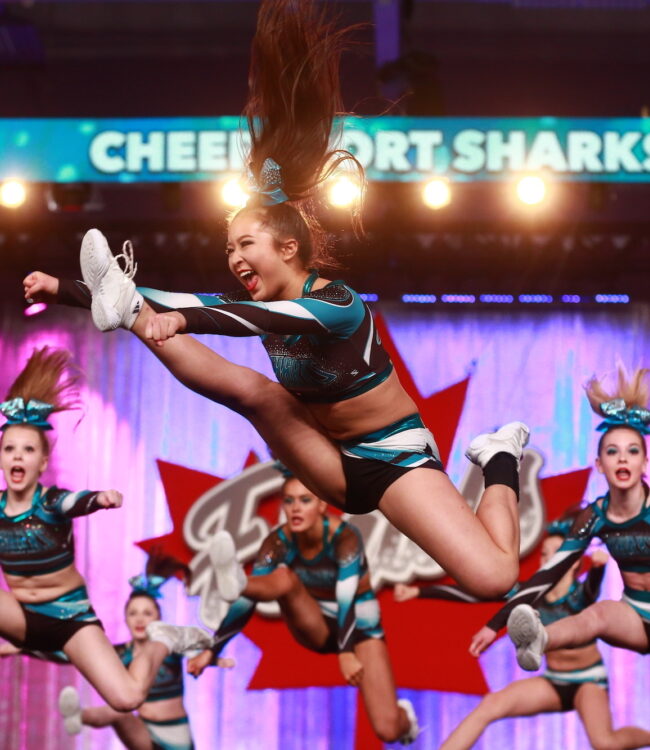 Cheer sport sharks hero
