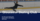 Ice Skater with typo over visual about a success story with Amilia SmartRec software for clubs