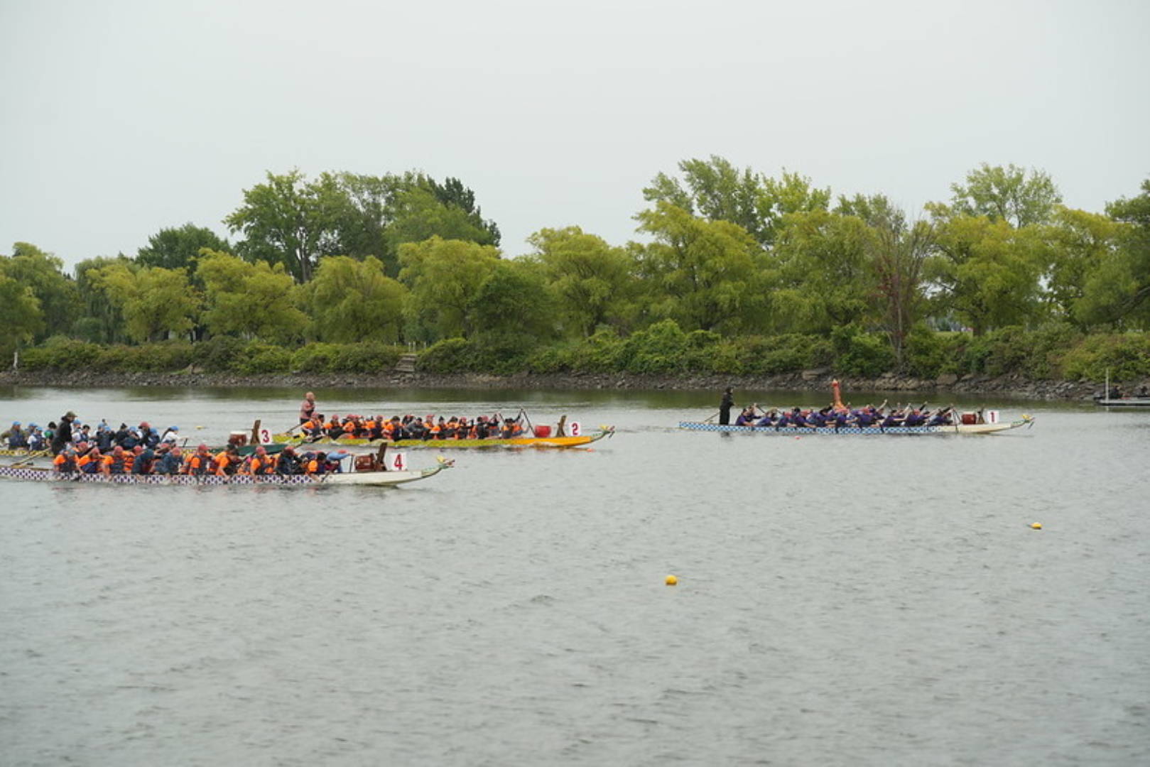 54772979572 97c67b72c7 c