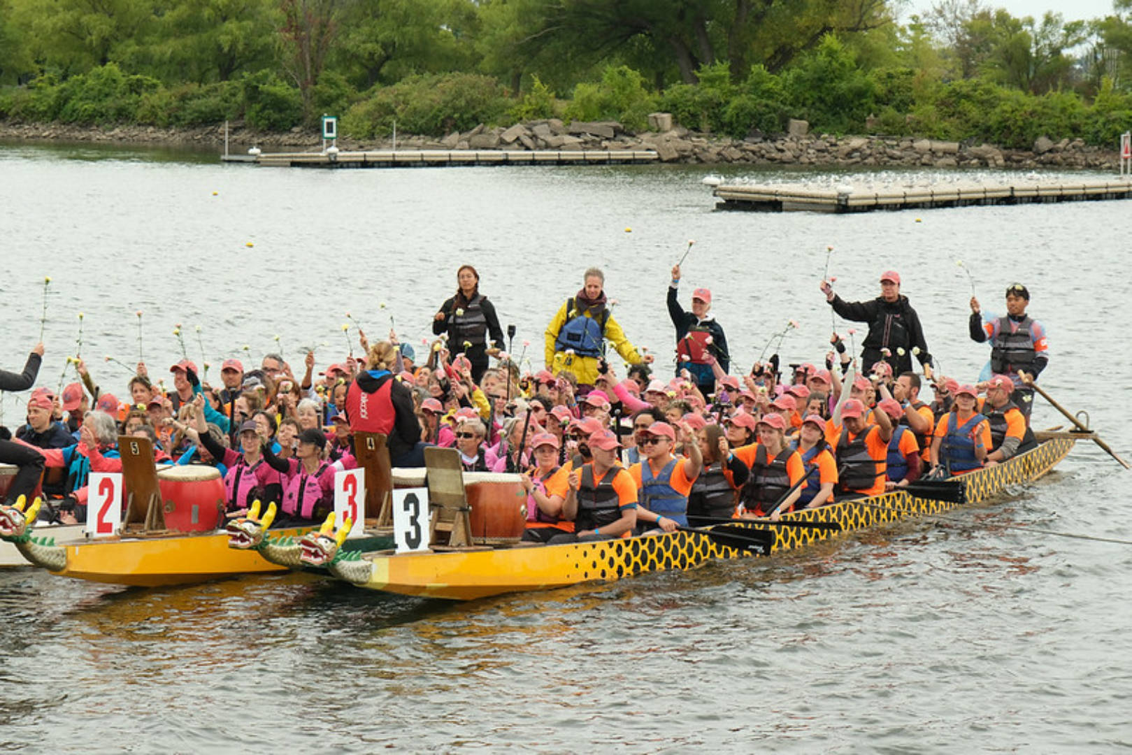 54776249650 c39ac2cef2 c