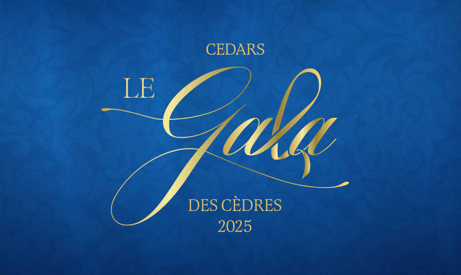 Gala 2025 Website carousel