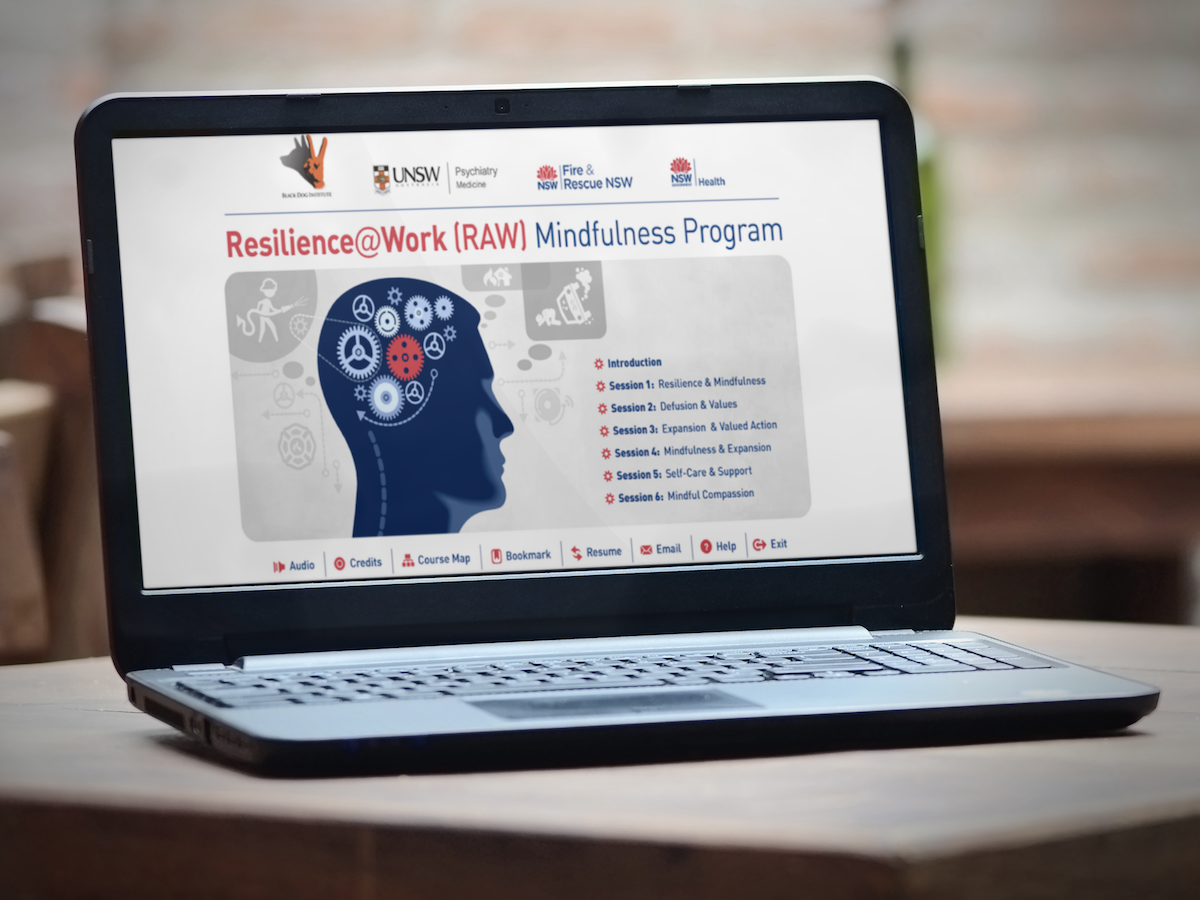 Resilience@Work Mindfulness Program: Results From a Cluster Randomized Controlled Trial With First Responders Resilience@Work Mindfulness Program: Results From a Cluster Randomized Controlled Trial With First Responders