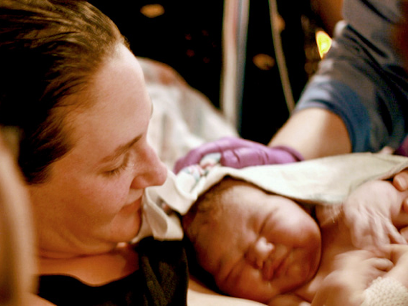 A Web-Based Form With Interactive Charts Used to Collect and Analyze Data on Home Births in Italy A Web-Based Form With Interactive Charts Used to Collect and Analyze Data on Home Births in Italy