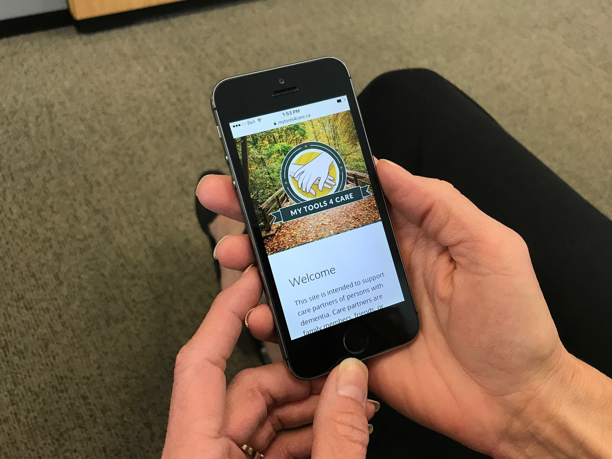 Web-Based Intervention for Family Carers of Persons with Dementia and Multiple Chronic Conditions (My Tools 4 Care): Pragmatic Randomized Controlled Trial Web-Based Intervention for Family Carers of Persons with Dementia and Multiple Chronic Conditions (My Tools 4 Care): Pragmatic Randomized Controlled Trial