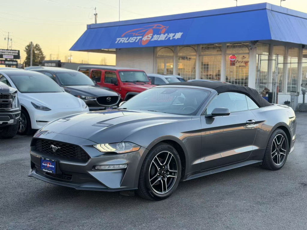 Ford Mustang EcoBoost Convertible RWD