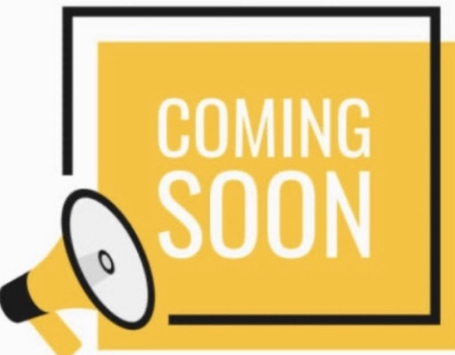 Audi SQ5 3.0 TFSI quattro Progressiv AWD 2019