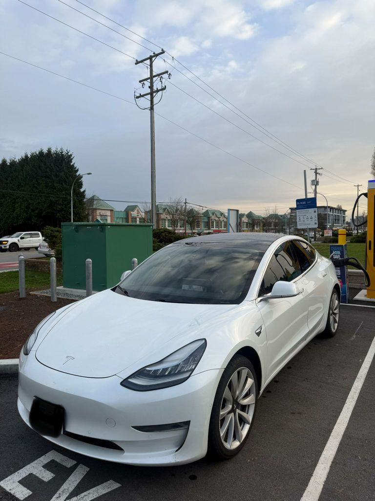 White 2019 Tesla Model 3 Sedan Rear-Wheel Drive Automatic