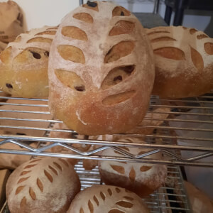 Portefeuille aux olives kalamata et fines herbes des Laurentides