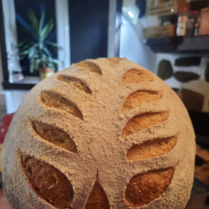 Miche au kamut blanc