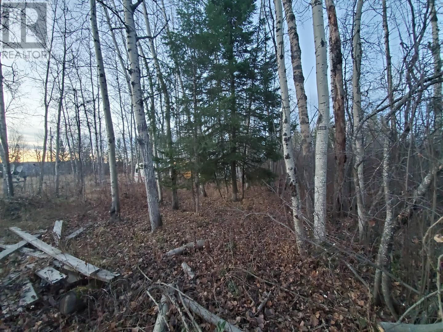 Land for Sale, 1401 Cook Road, Quesnel, BC Real Estate