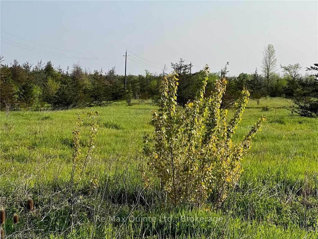 0 Rosseau Crossroad, Prince Edward County, ON Vacant Land for Sale