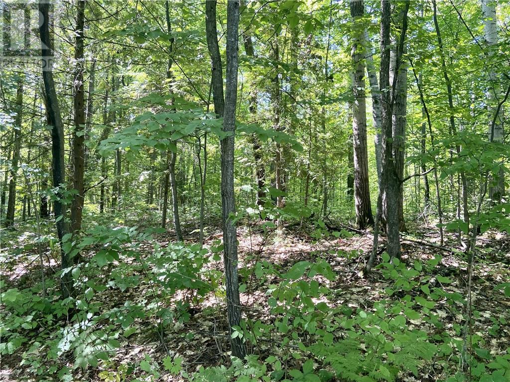 Lt2 Haleys Bay Trail, Eganville, ON Land for Sale 359K SoldWell