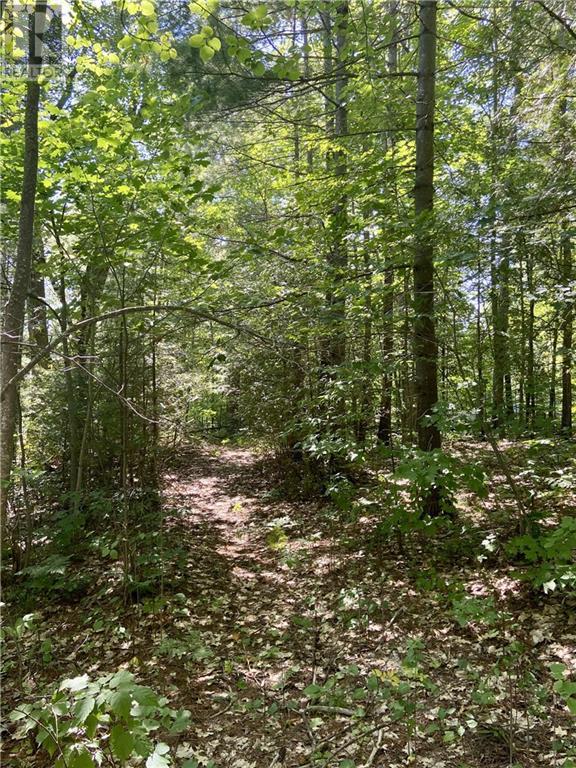 Lt2 Haleys Bay Trail, Eganville, ON Land for Sale 359K SoldWell