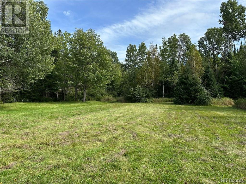  Little River Road, Little River, NB Land for Sale 129.9K SoldWell