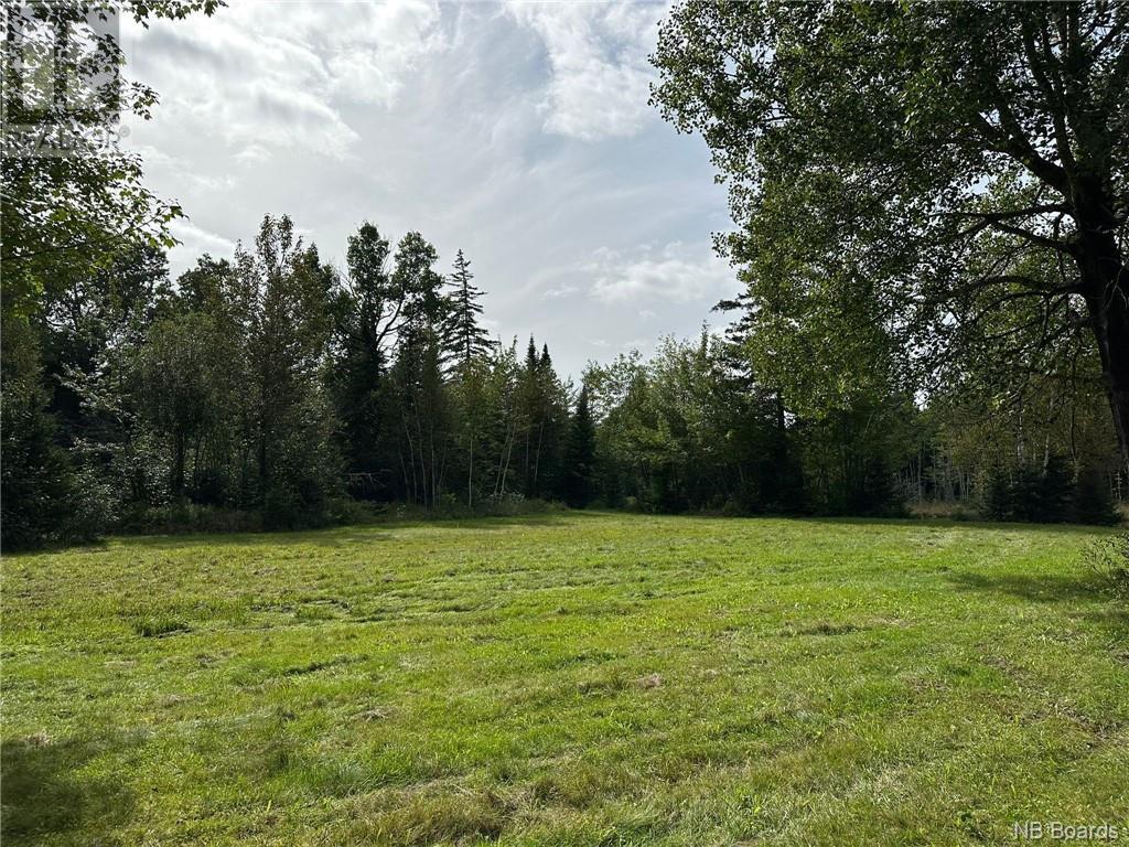  Little River Road, Little River, NB Land for Sale 129.9K SoldWell