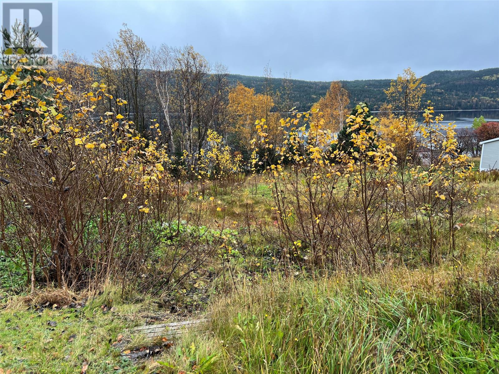 6 Diagonal Road, Baie Verte, NL Land for Sale 29.9K SoldWell