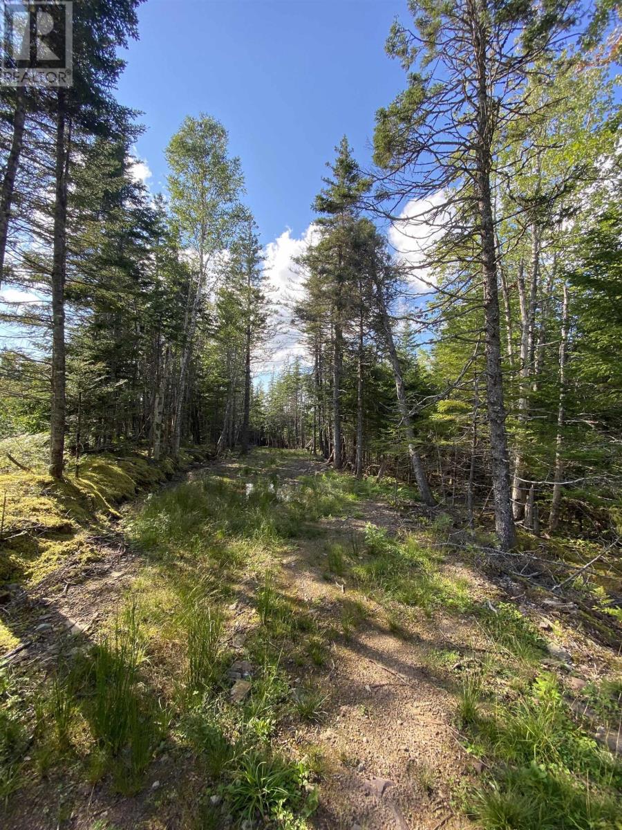 Lot Highway 4, River Bourgeois, NS Land for Sale 45K SoldWell