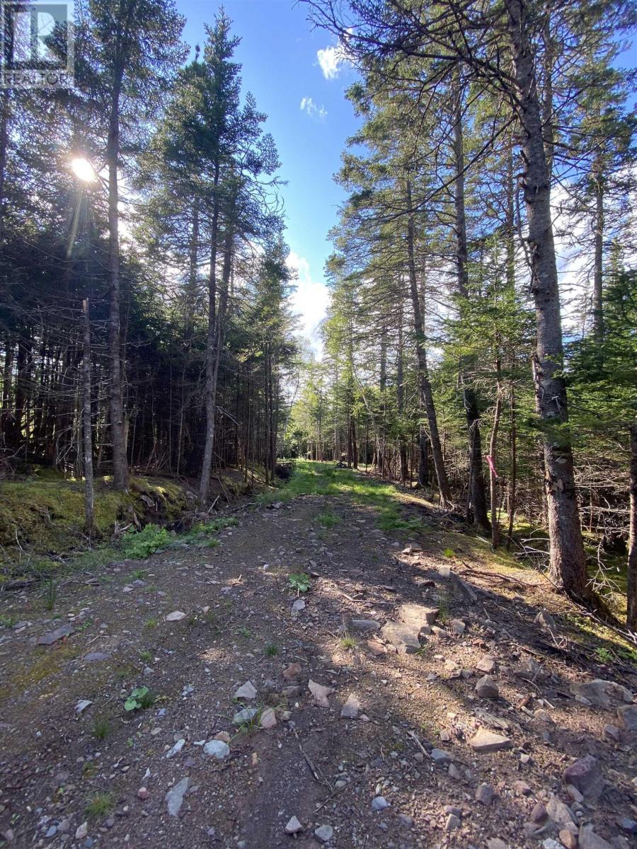 Lot Highway 4, River Bourgeois, NS Land for Sale 45K SoldWell
