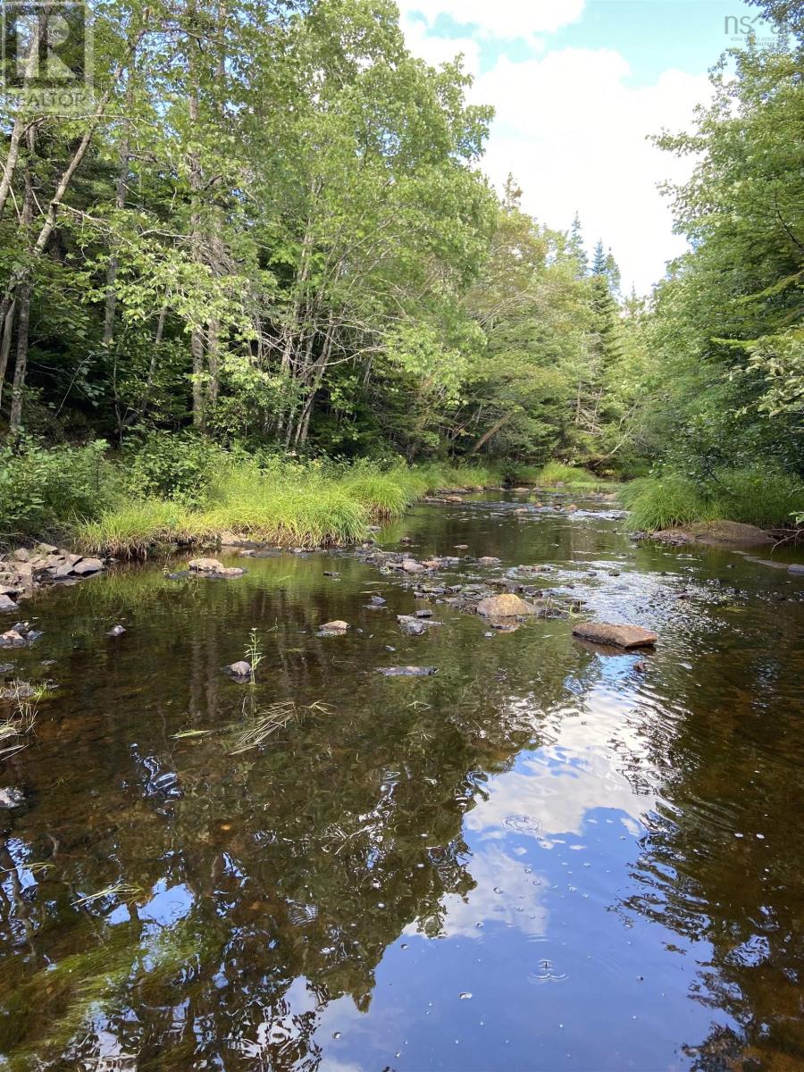 Lot Highway 4, River Bourgeois, NS Land for Sale 45K SoldWell