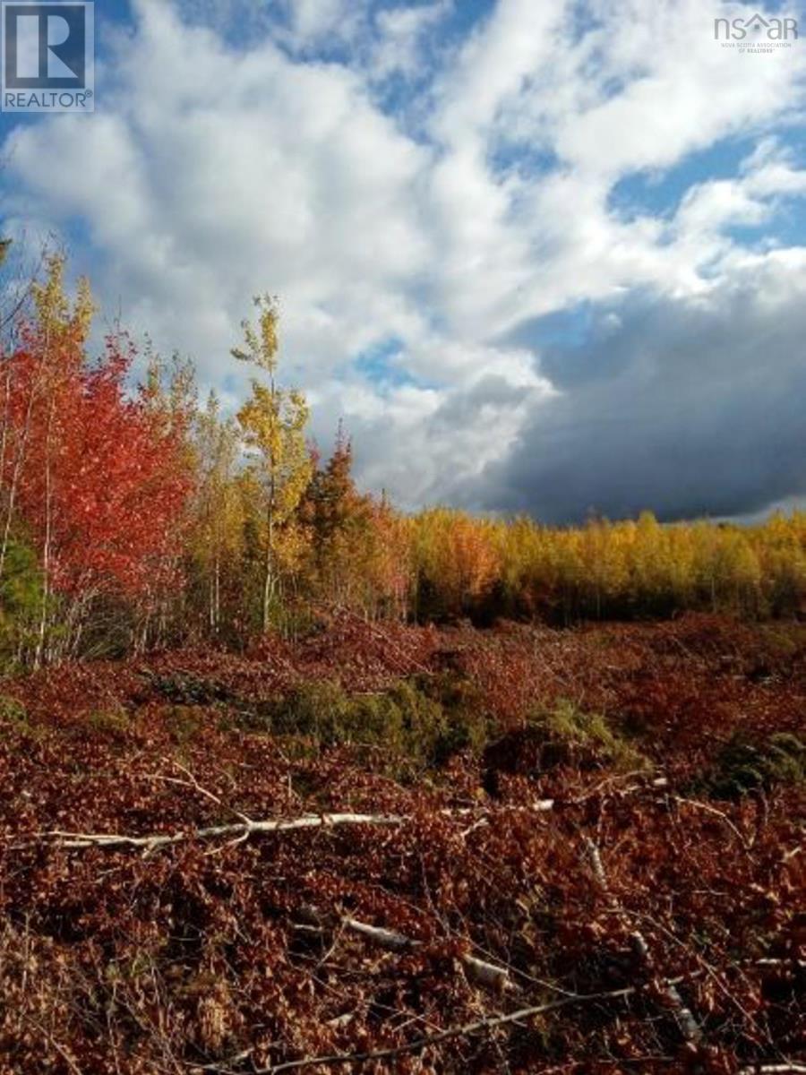 Lot Mackay Road, Welsford, NS Land for Sale 59.9K SoldWell