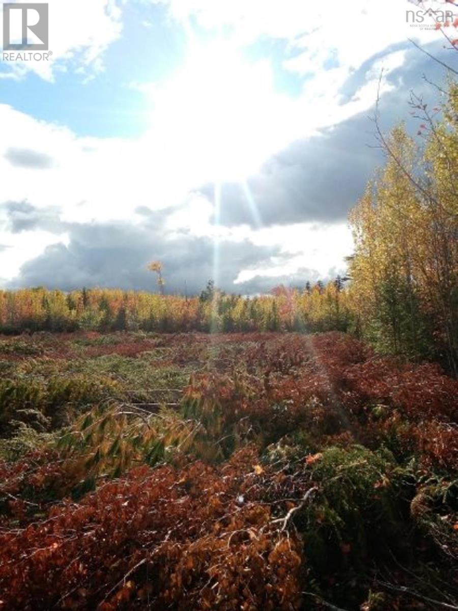 Lot Mackay Road, Welsford, NS Land for Sale 59.9K SoldWell