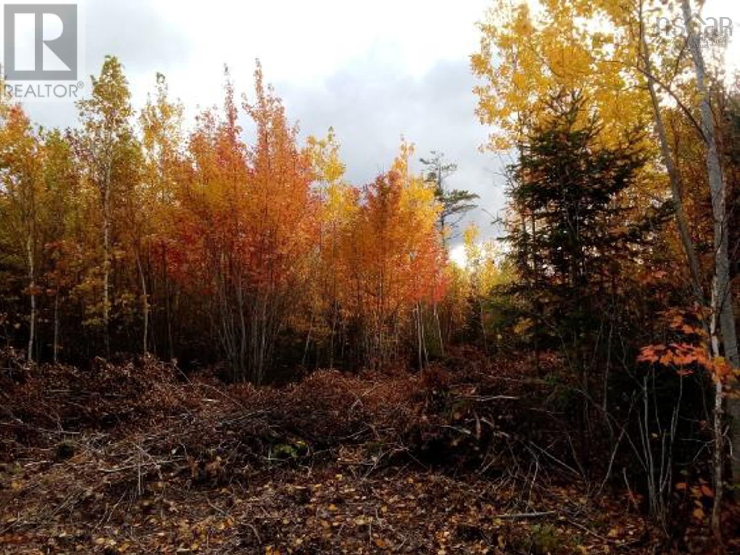 Lot Mackay Road, Welsford, NS Land for Sale 59.9K SoldWell