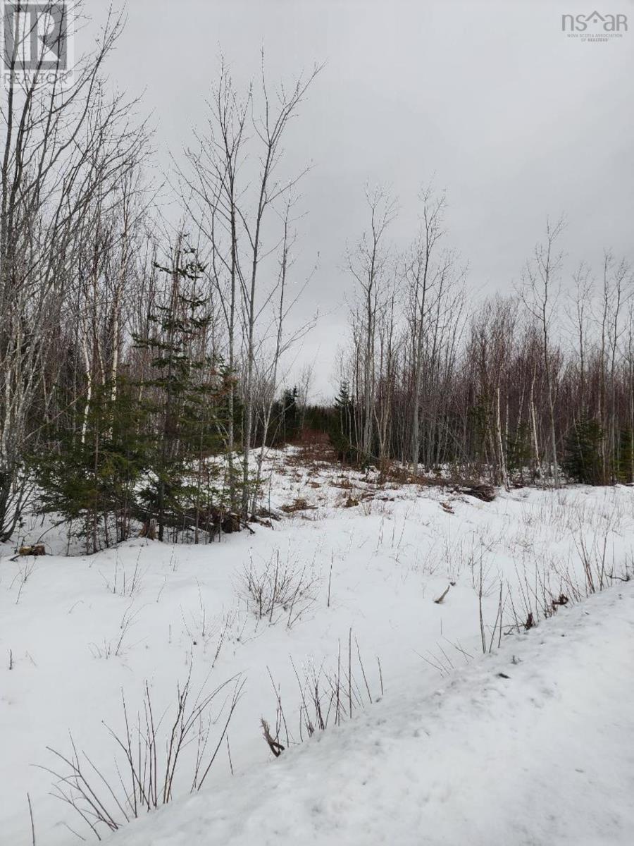 Lot Mackay Road, Welsford, NS Land for Sale 59.9K SoldWell
