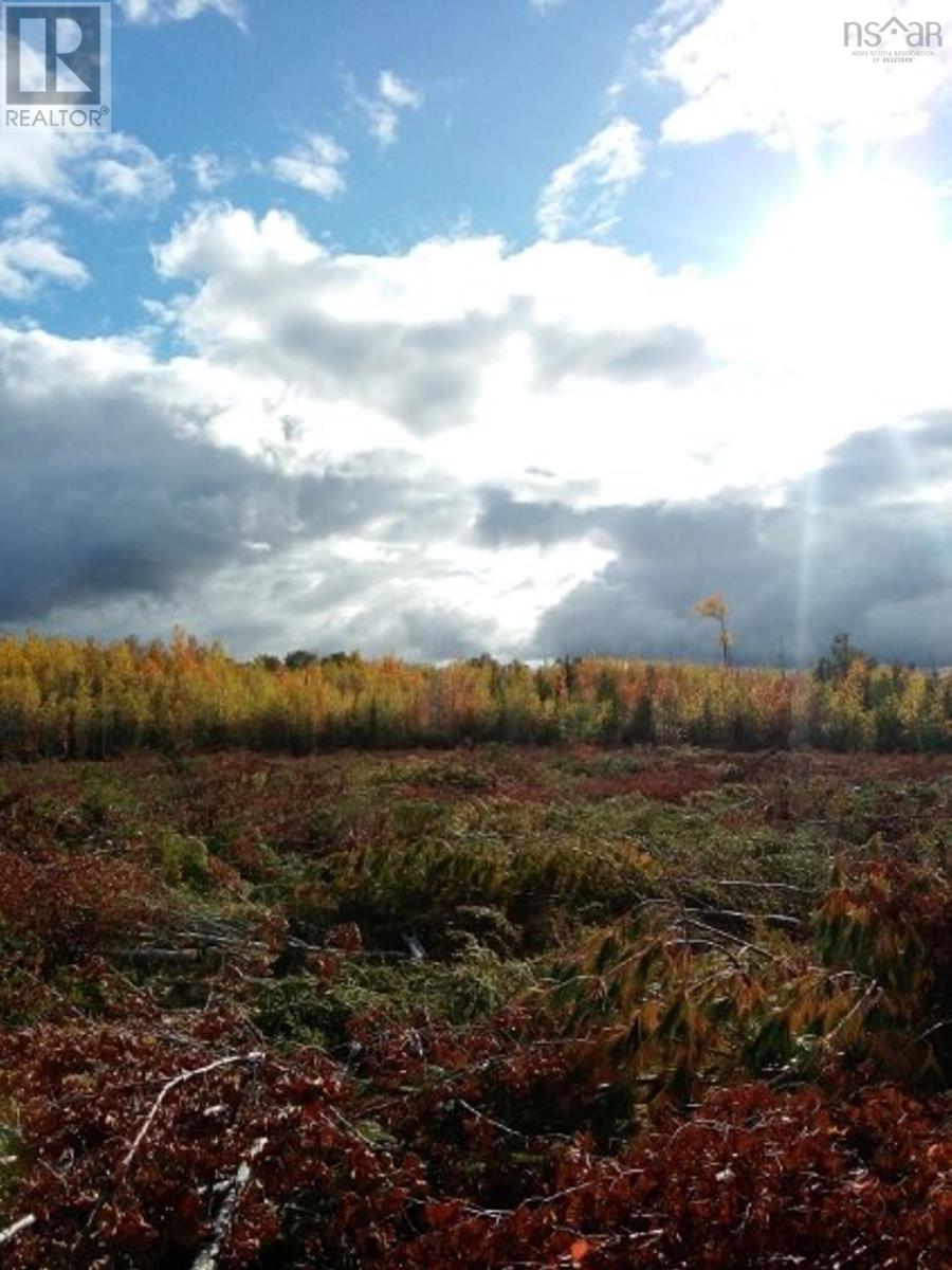 Lot Mackay Road, Welsford, NS Land for Sale 59.9K SoldWell