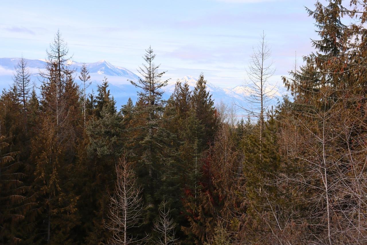 156 Lakeview Arrow Creek Road, Creston, BC Detached for Sale 999K