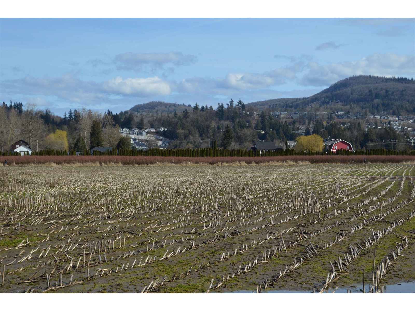 34634 Clayburn Road, Abbotsford, BC Land for Sale 2.33M SoldWell