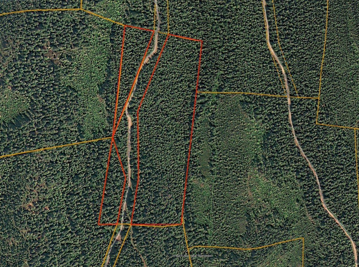 Dl 977 Cody Caves Fsr, Ainsworth, BC Land for Sale 129K SoldWell