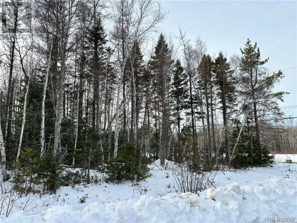1.02 Acres Riverside Drive, Oak Point, NB Land for Sale 16.9K