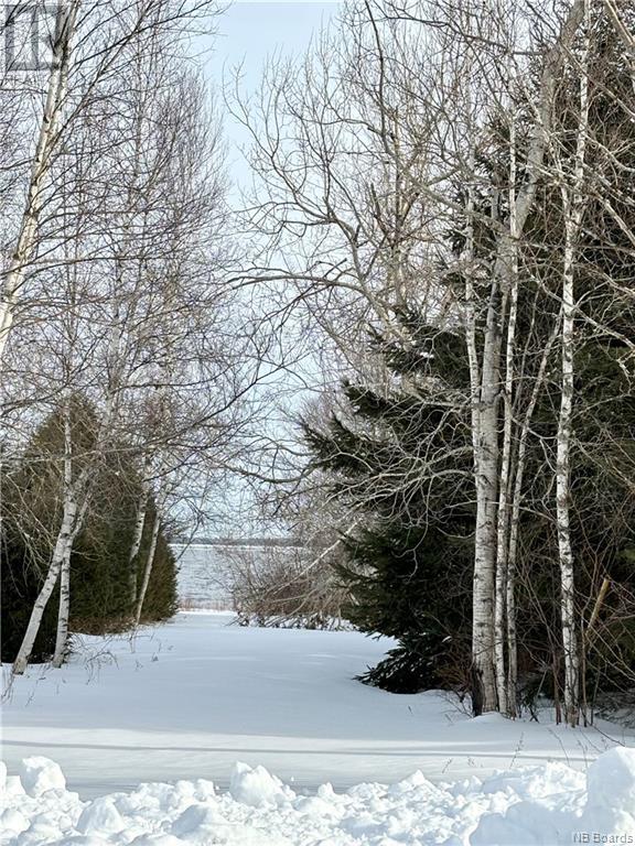 1.02 Acres Riverside Drive, Oak Point, NB Land for Sale 16.9K
