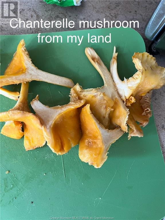 Lot Keith Rd, Havelock, NB Land for Sale 98K 411.info™