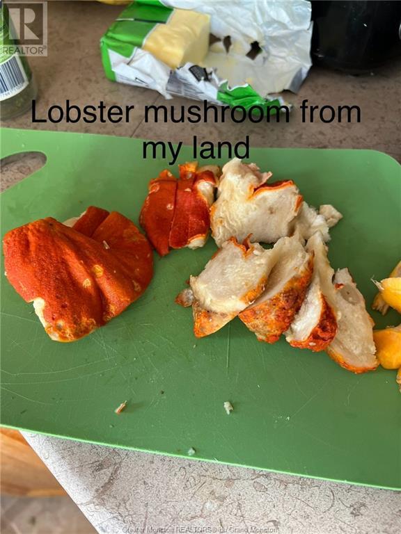 Lot Keith Rd, Havelock, NB Land for Sale 98K 411.info™