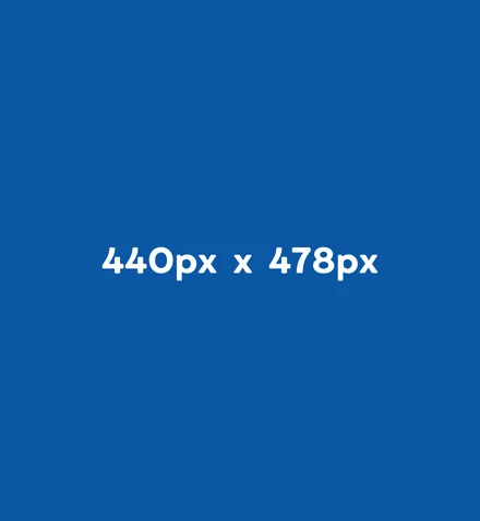 440 x 478 px