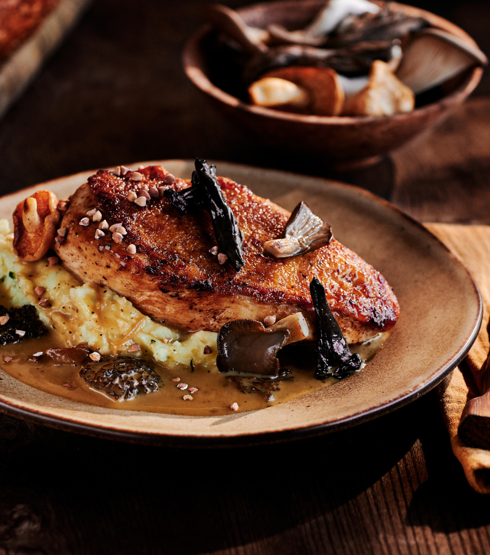 Chicken breast, wild mushroom sauce