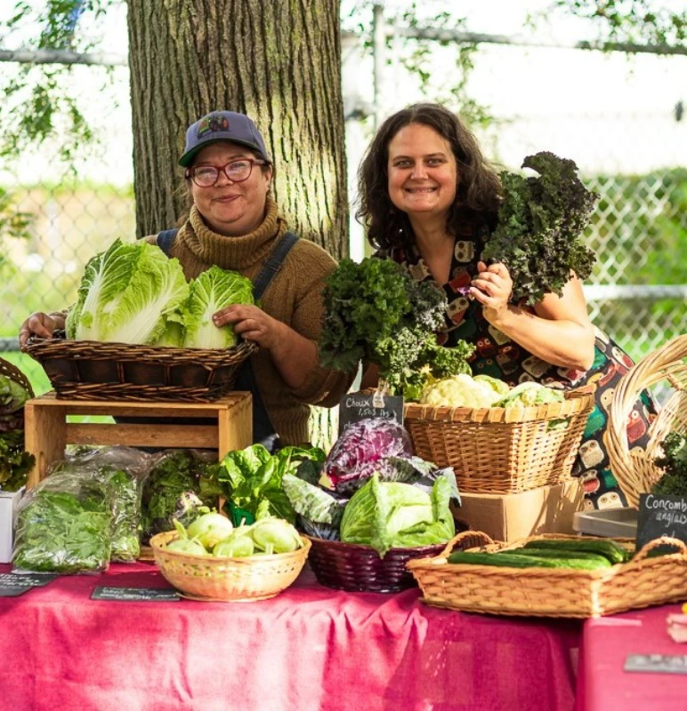 Marche Ephemere Institution