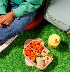 Carrote boite a lunch