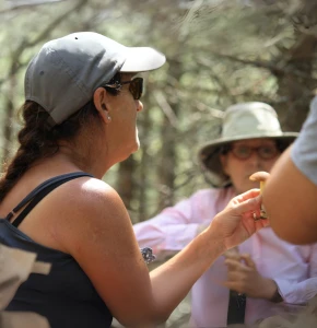 Excursion champignon