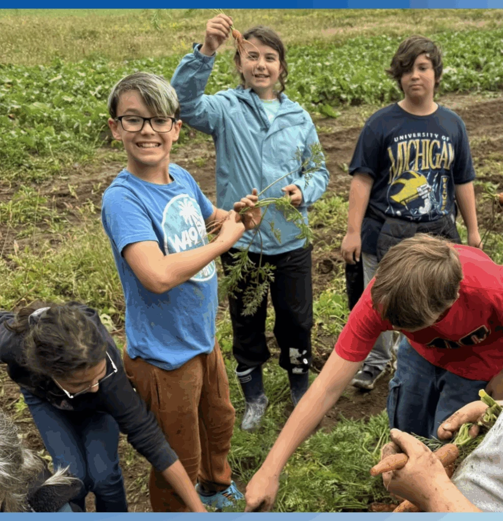 Enfants dans un champ de carottes