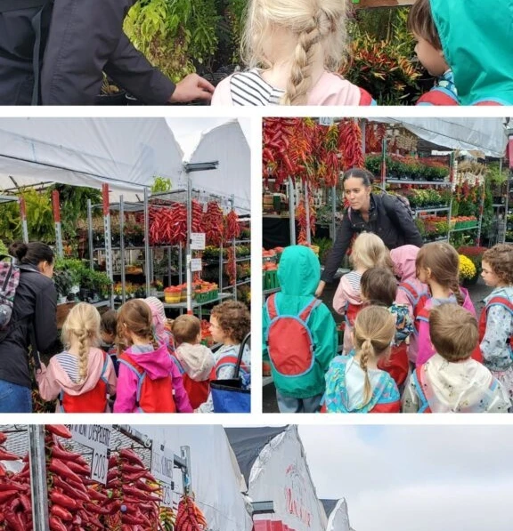 Piment marche Jean Talon