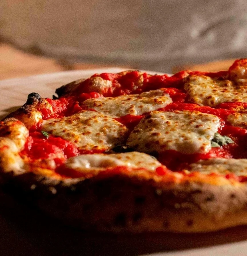 AQM Aventure Rose Des Vents